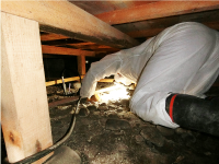 床下の被害状況を確認