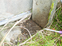 家の周り・お庭も確認