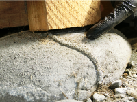 蟻道が無いか確認