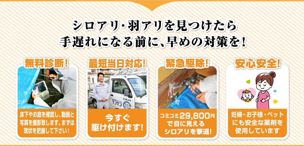 シロアリ・羽アリを見つけたら手遅れになる前に、早めの対策を!