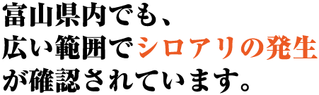富山県内でも、広い範囲でシロアリの発生が確認されています。