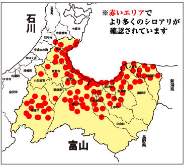 赤いエリアででより多くのシロアリが確認されています