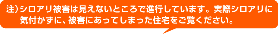 (注)シロアリ被害は見えないところで進行しています。実際シロアリに気付かずに、被害にあってしまった住宅をご覧ください。