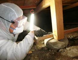 床下の柱を目視で一つずつ丁寧に確認していきます。