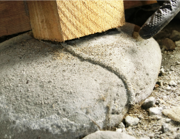 地面から柱に沿って作られた蟻道(ぎどう)です。