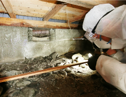 基礎の部分にも薬剤を万べん無く散布します。