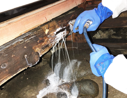 床下の梁の中がかなり浸食されていました。