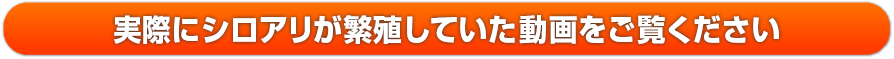 施工の様子を動画でもごらんください