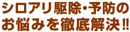 シロアリ駆除駆除・予防のお悩みを徹底解決！