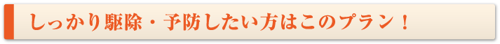 しっかり駆除・予防したい方はこのプラン！