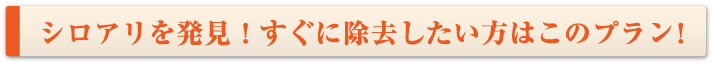 シロアリを発見！すぐに除去したい方はこのプラン！
