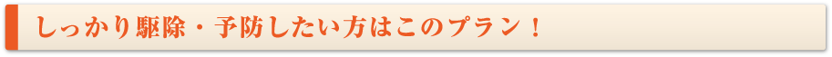 しっかり駆除・予防したい方はこのプラン！