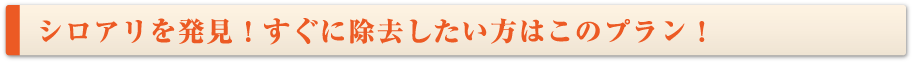 シロアリを発見！すぐに除去したい方はこのプラン！