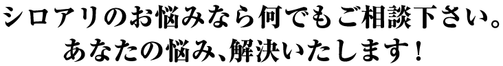 シロアリのお悩みなら何でもご相談ください。あなたのお悩み、解決いたします。