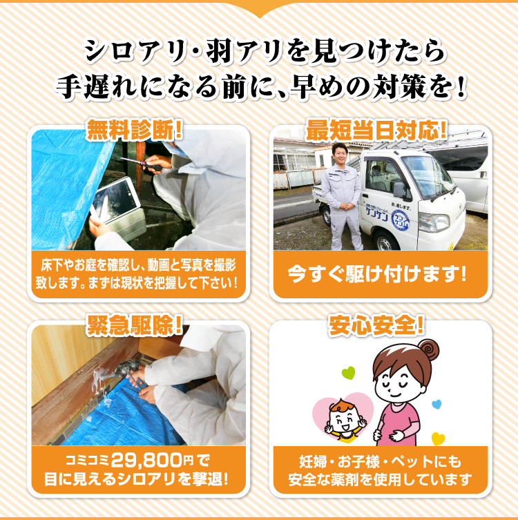 シロアリ・羽アリを見つけたら手遅れになる前に、早めの対策を!