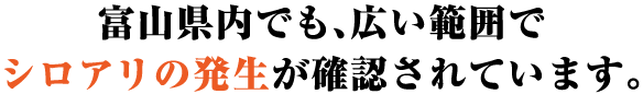富山県内でも、広い範囲でシロアリの発生が確認されています。