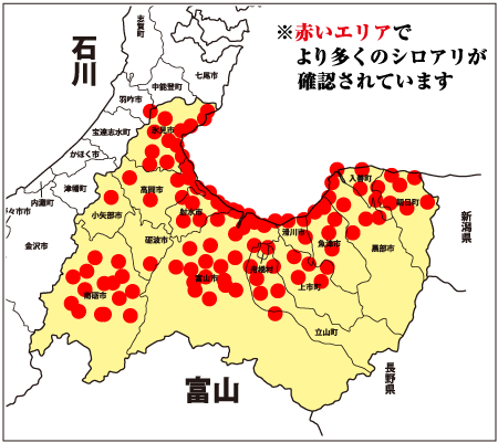 赤いエリアででより多くのシロアリが確認されています