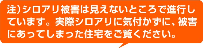 (注)シロアリ被害は見えないところで進行しています。実際シロアリに気付かずに、被害にあってしまった住宅をご覧ください。