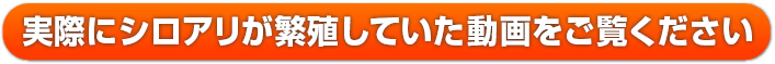 施工の様子を動画でもごらんください