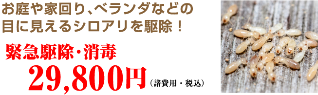 緊急駆除パック29,800円