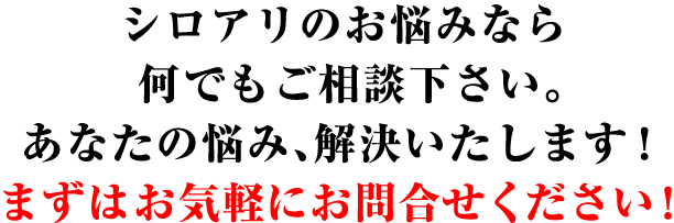 シロアリのお悩みなら何でもご相談ください。あなたのお悩み、解決いたします。